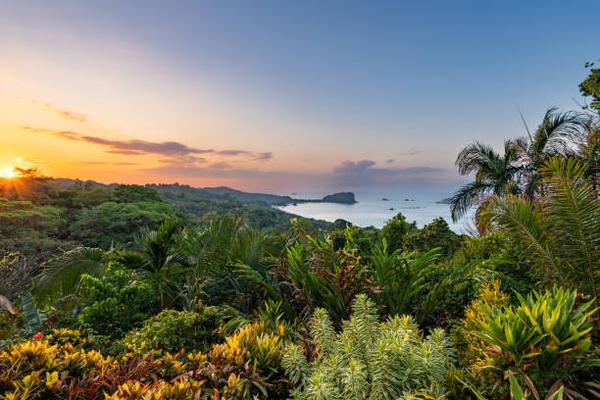 Discover the Best Beach and Rainforest Destinations in Costa Rica